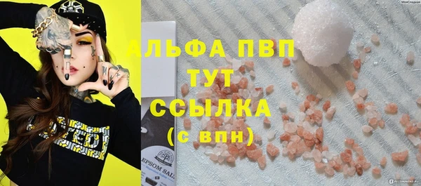 хмурый Белокуриха